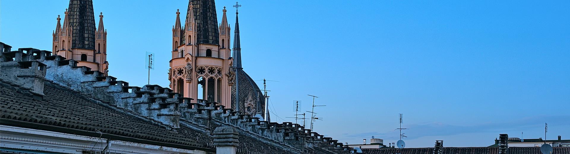 Roofs in Turin