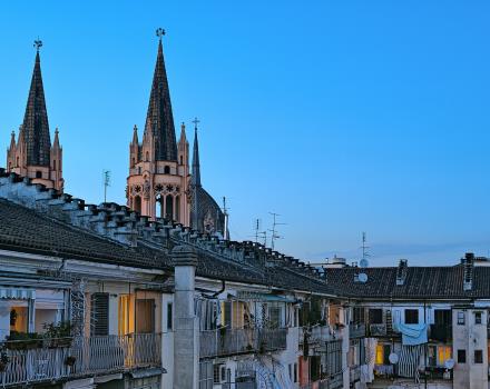 Roofs in Turin